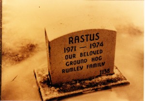 rastus_0001