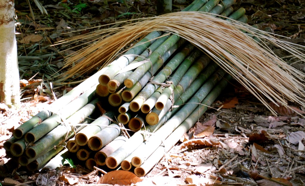 bamboo